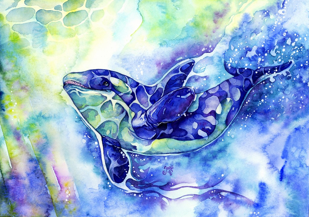 Print - Orca